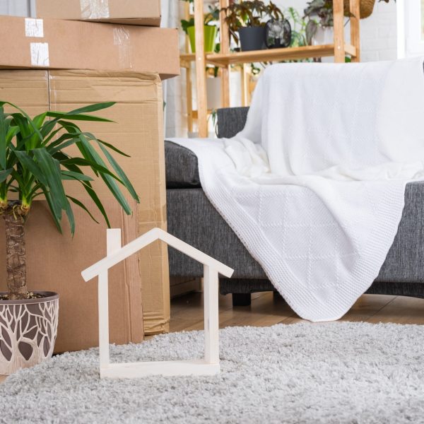 Boxes with things for moving and house plants are in the room of the new house. Housewarming, family property, cargo transportation and delivery of things